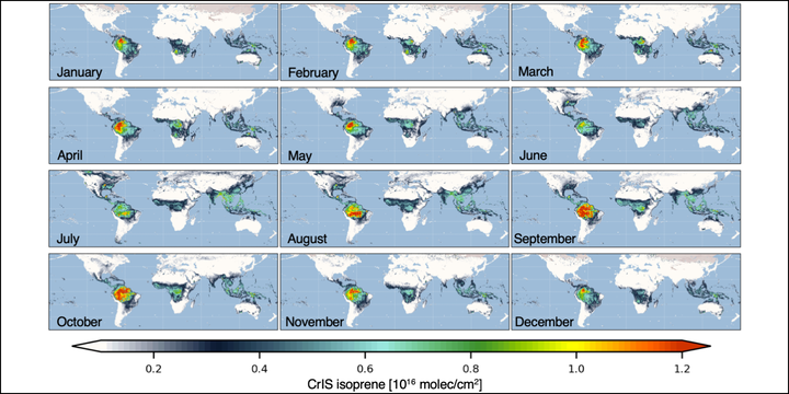 Seasonal maps of global isoprene columns